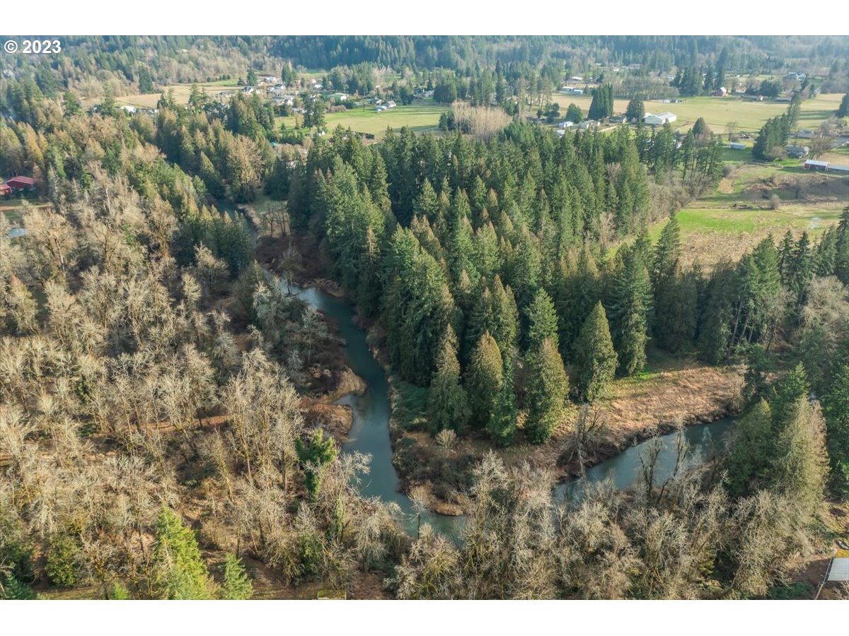 14113 South Graves Road Mulino, OR 97042 - Photo 21 of 33 a view of lake with green space