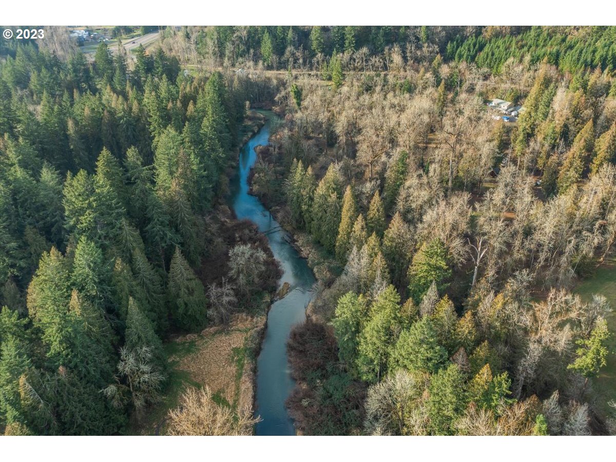 14113 South Graves Road Mulino, OR 97042 - Photo 24 of 33 a view of a forest with a forest