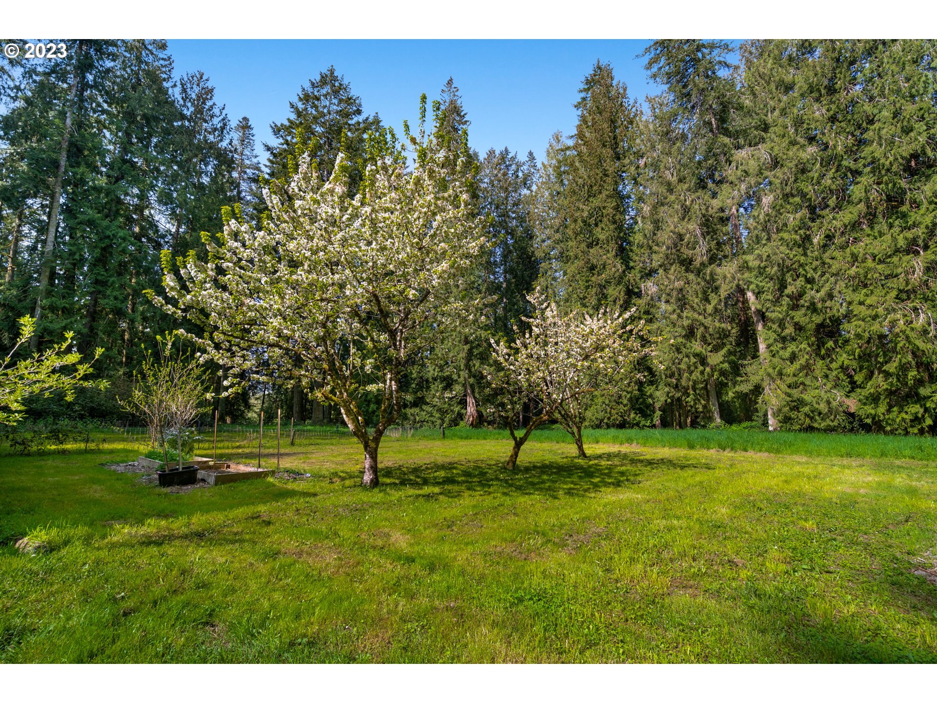 14113 South Graves Road Mulino, OR 97042 - Photo 29 of 33 a view of grassy field with trees