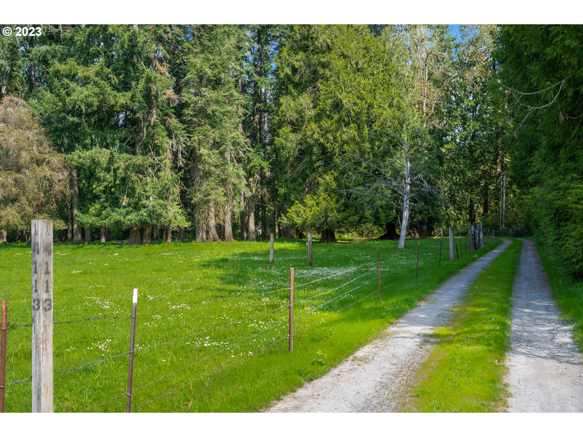 14113 South Graves Road Mulino, OR 97042 - Photo 5 of 33 a view of a park with large trees