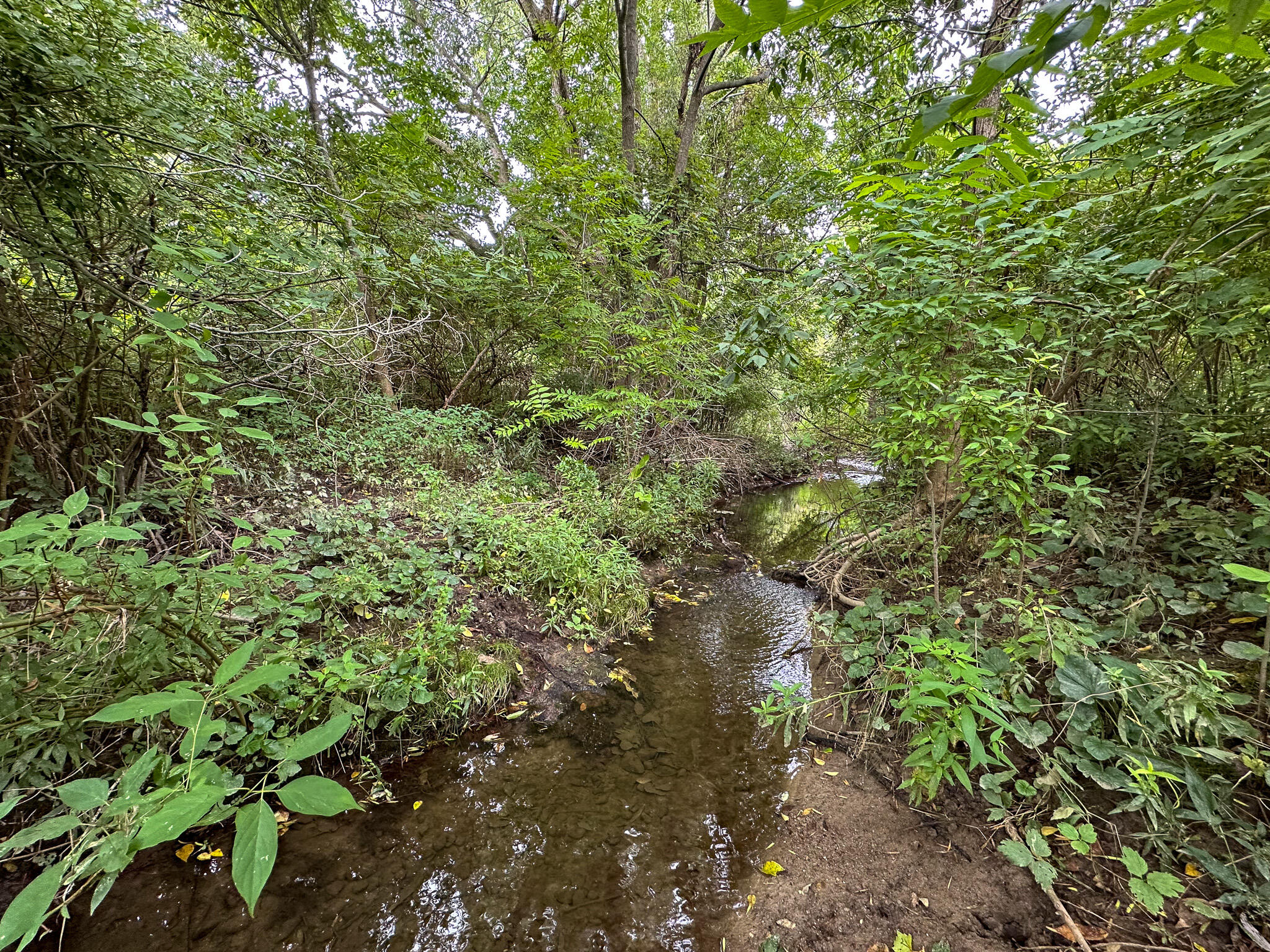 4181 East Mt Morris Road Mount Morris, MI 48458 - Photo 30 of 33 Creek