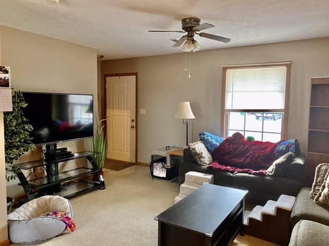 4005 McCormick Drive Springfield, IL 62707 - Photo 14 of 25