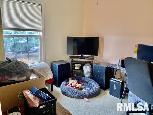 4005 McCormick Drive Springfield, IL 62707 - Photo 19 of 25