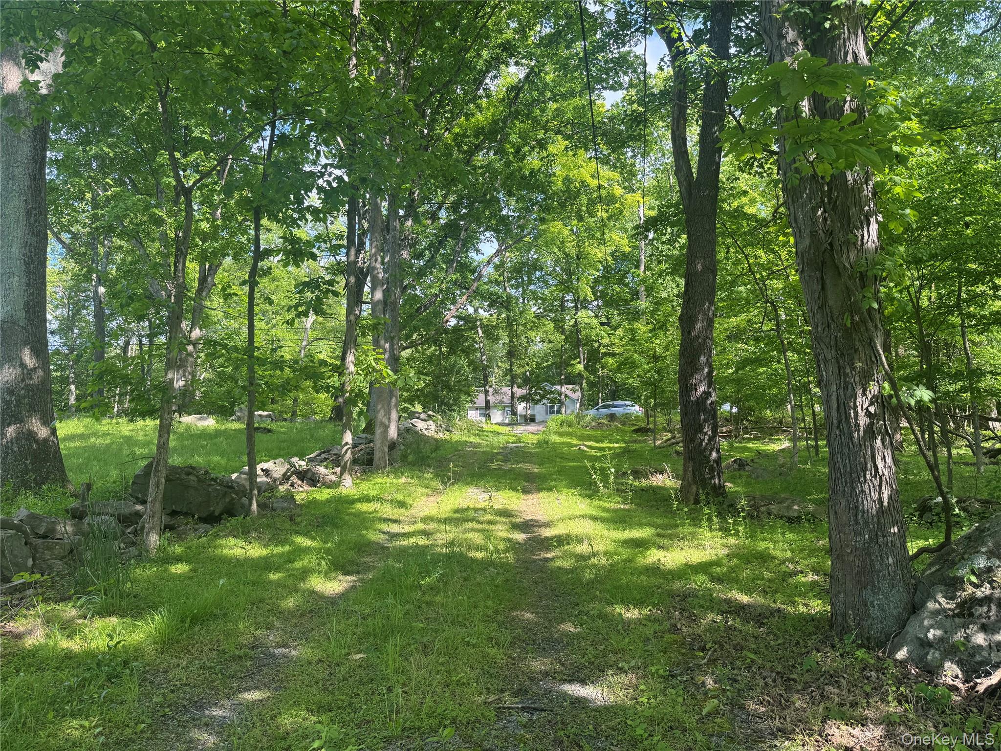 68 Union School Road Montgomery, NY 12549 - Photo 20 of 37 View of yard