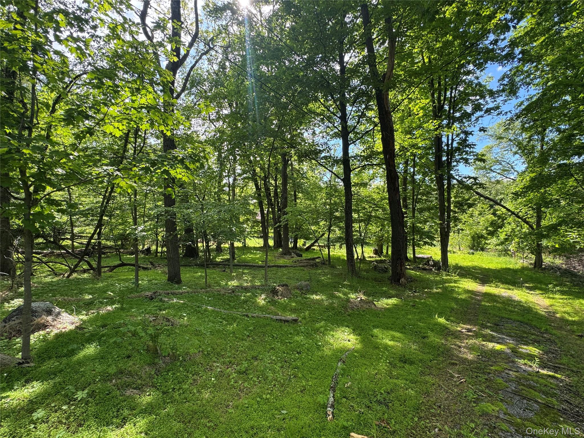 68 Union School Road Montgomery, NY 12549 - Photo 21 of 37 View of yard