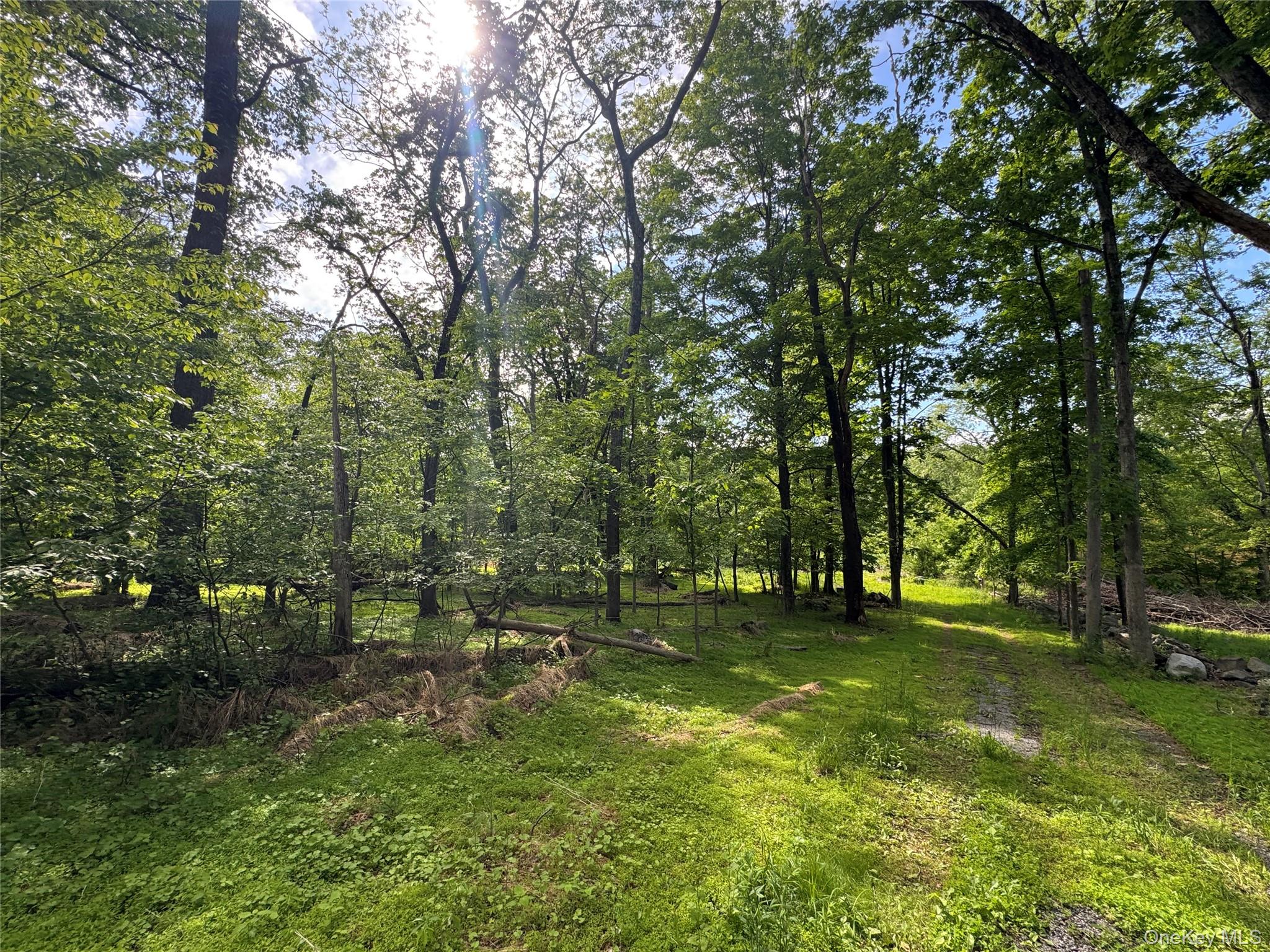 68 Union School Road Montgomery, NY 12549 - Photo 22 of 37 View of yard
