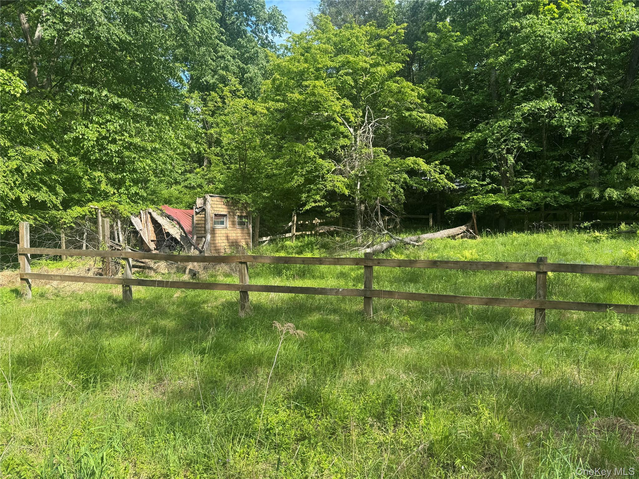68 Union School Road Montgomery, NY 12549 - Photo 23 of 37 View of yard with a wooded view and an outdoor structure