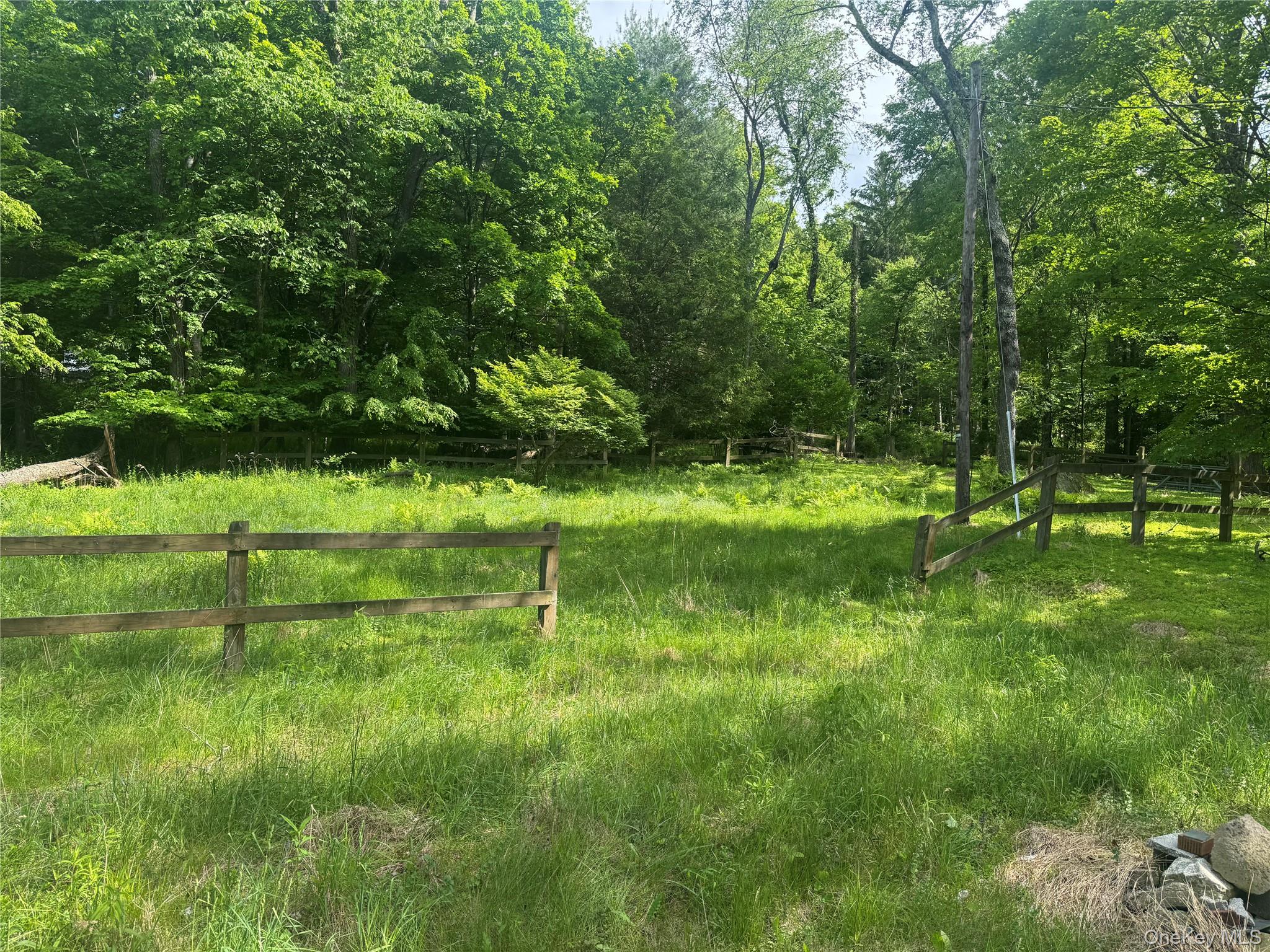 68 Union School Road Montgomery, NY 12549 - Photo 24 of 37 View of yard with a forest view