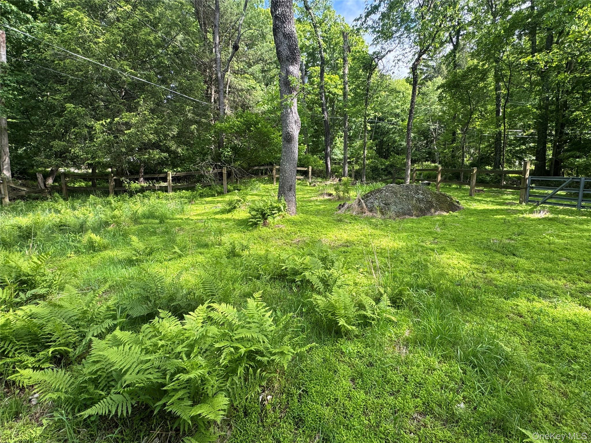 68 Union School Road Montgomery, NY 12549 - Photo 27 of 37 View of undeveloped land