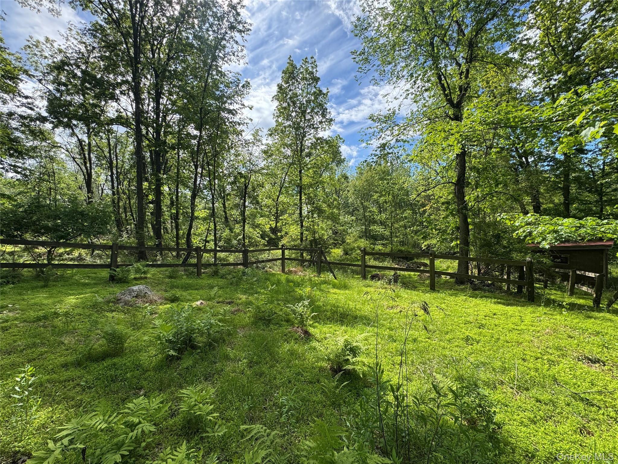 68 Union School Road Montgomery, NY 12549 - Photo 30 of 37 View of yard