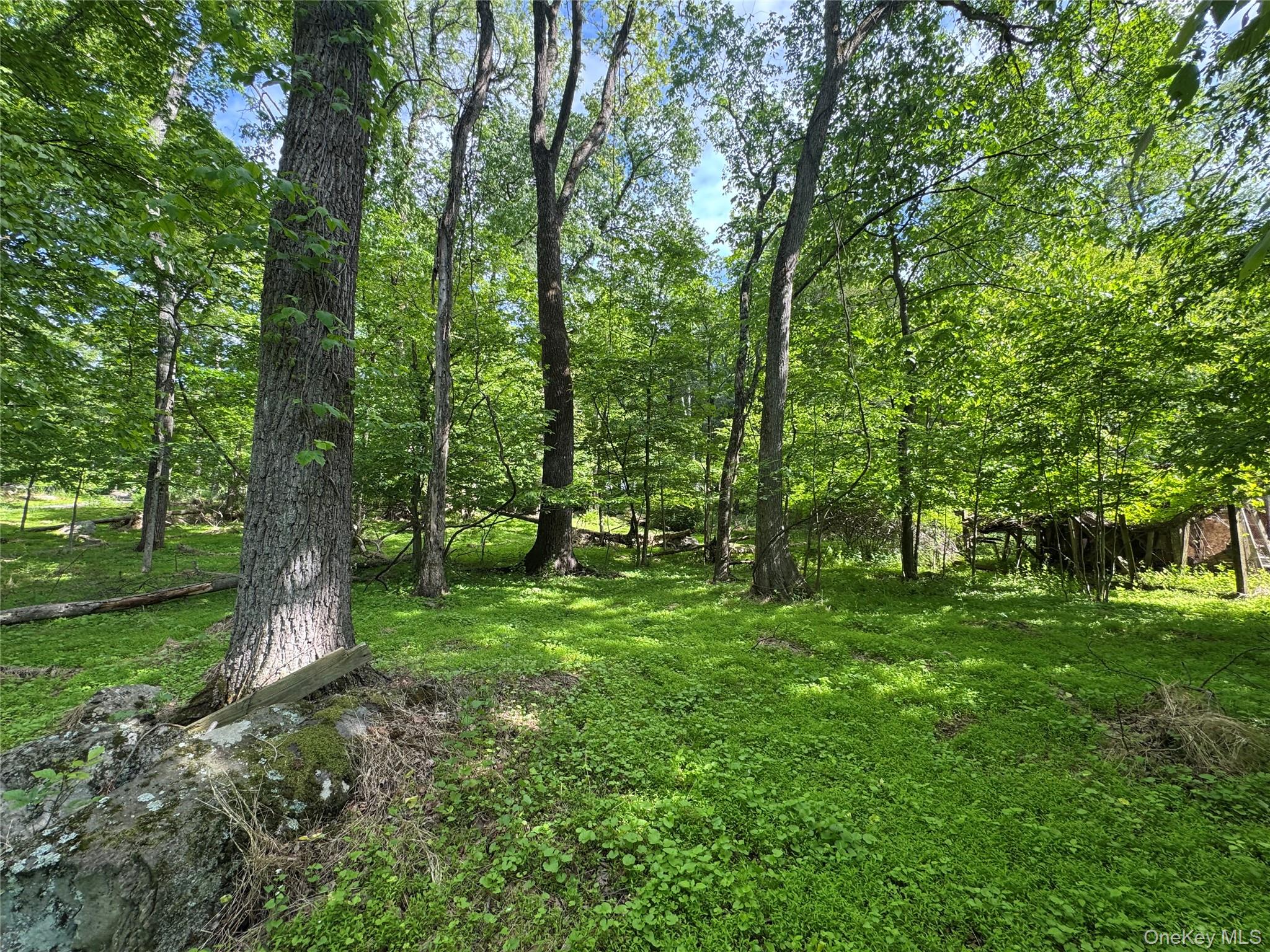 68 Union School Road Montgomery, NY 12549 - Photo 34 of 37 View of yard