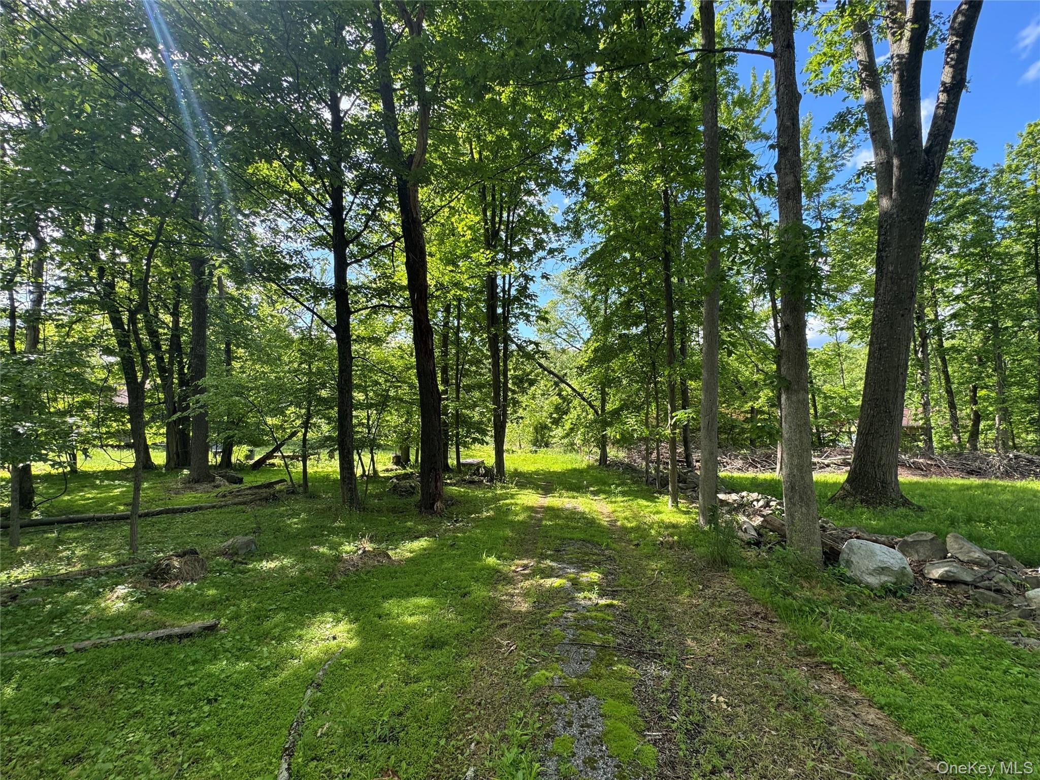 68 Union School Road Montgomery, NY 12549 - Photo 35 of 37 View of yard