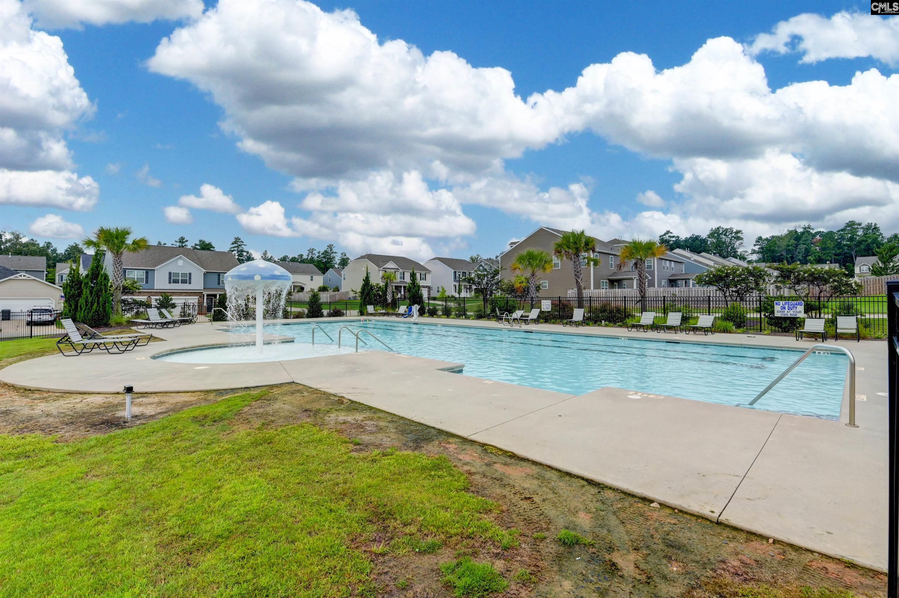 932 Trident Maple Lane Chapin, SC 29036 - Photo 41 of 42
