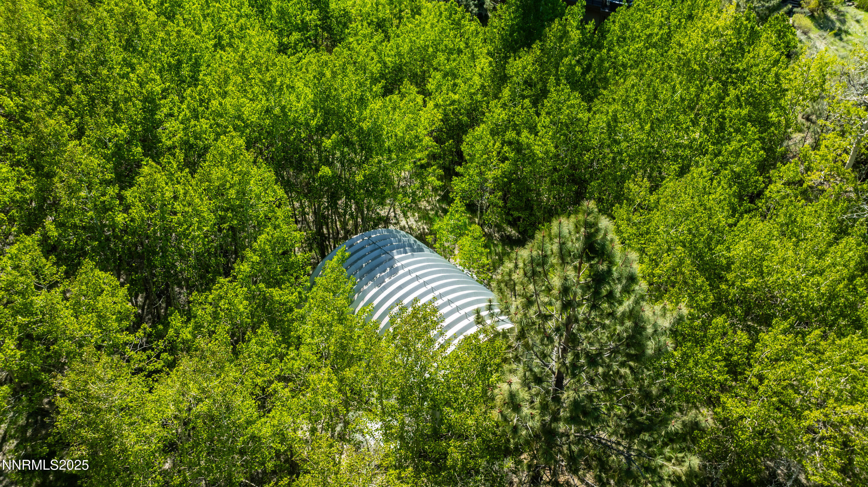 7450 Bryan Canyon Road Washoe Valley, NV 89704 - Photo 26 of 34 a view of outdoor space and garden