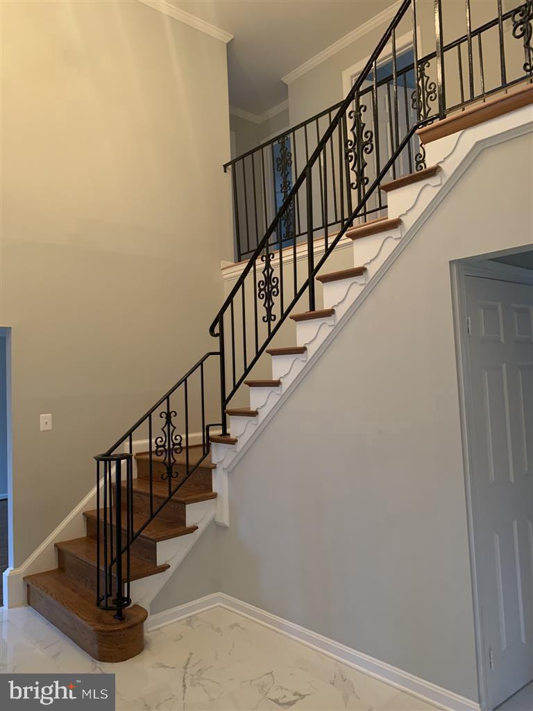 805 Balls Hill Road McLean, VA 22101 - Photo 3 of 40