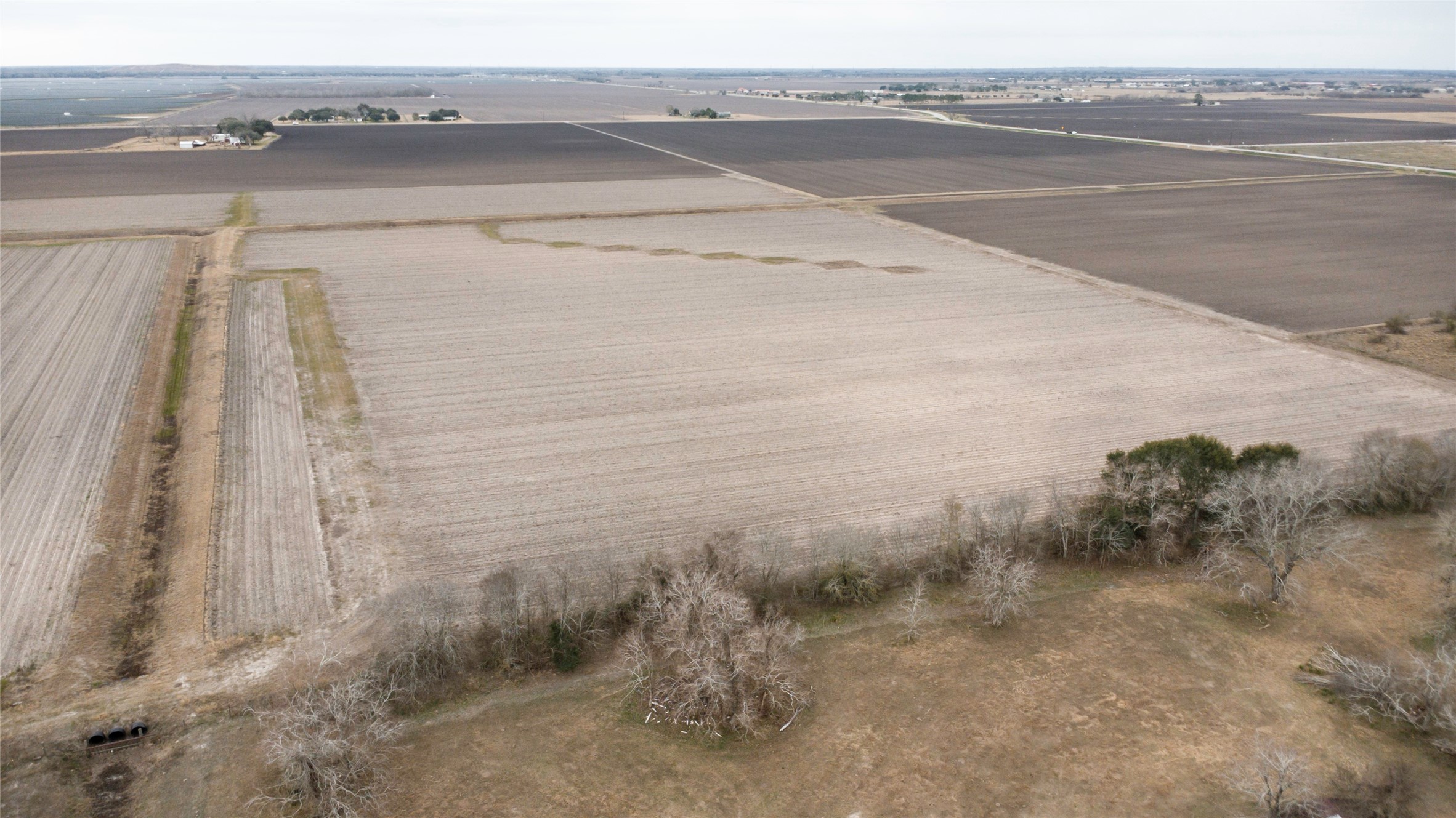 10611 FM 361 Road Richmond, TX 77469 - Photo 7 of 19 Crops currently being used on the property.