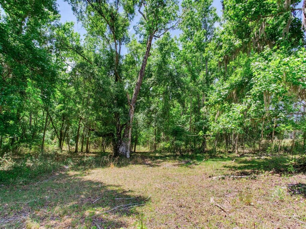 Spring Lake Highway Brooksville, FL 34602 - Photo 29 of 49 a backyard of a house with lots of green space