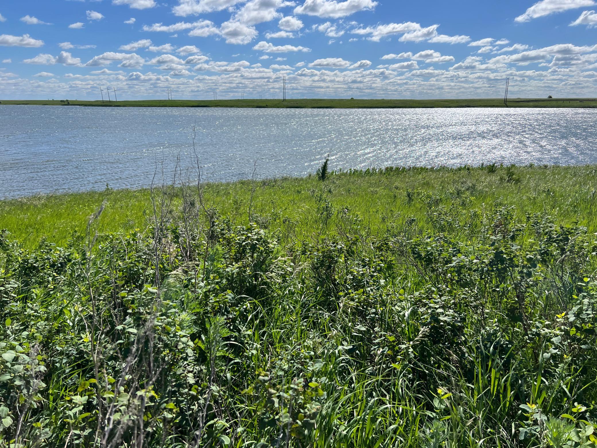 Tbd Southeast Tbd Se 90th Street Rutland, ND 58067 - Photo 88 of 105