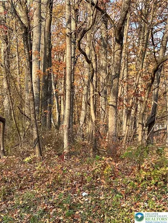 a view of yard