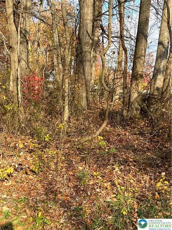 $20,000 | Shooktown Road, Bangor, PA 18013