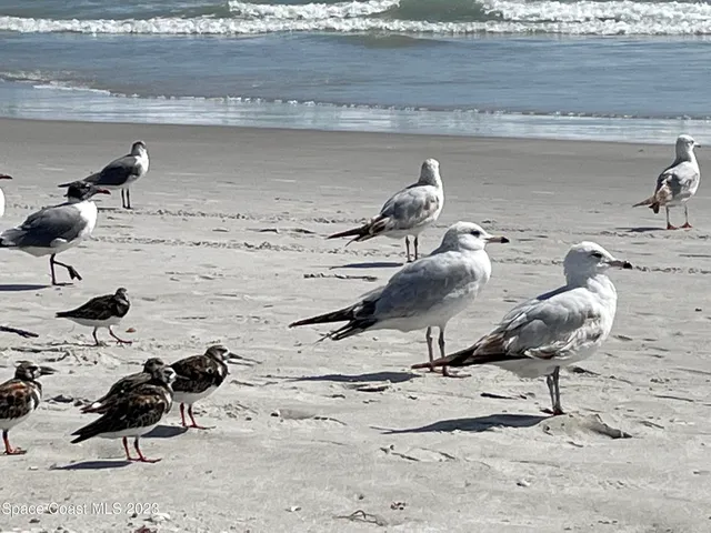 $2,000 | 239 Brickell Street Southeast, Palm Bay, FL 32909