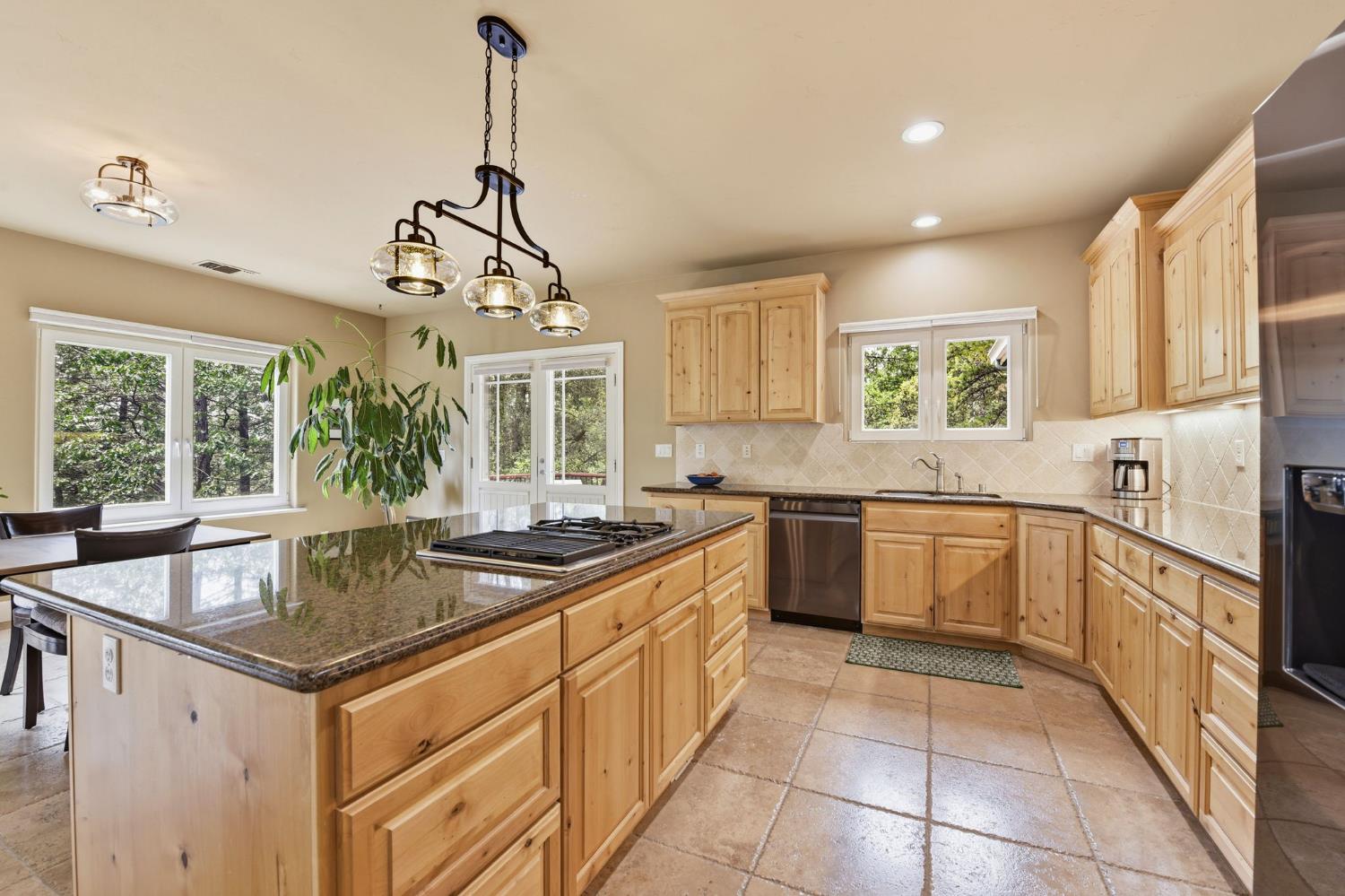 449 Plutes Way Colfax, CA 95713 - Photo 10 of 46
