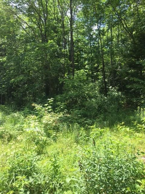 Lot 3 Dead River Road Bowdoin, ME 04287 - Photo 4 of 10 Photo