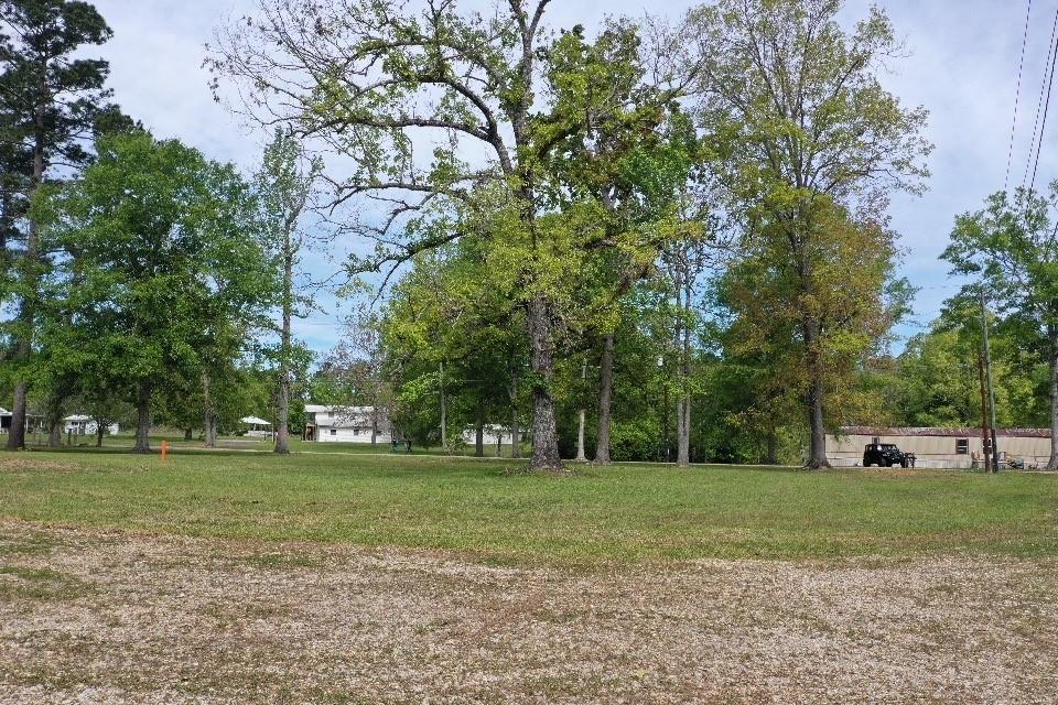 16515 Pine Lane Springfield, LA 70462 - Photo 28 of 39 Gallery Image 28