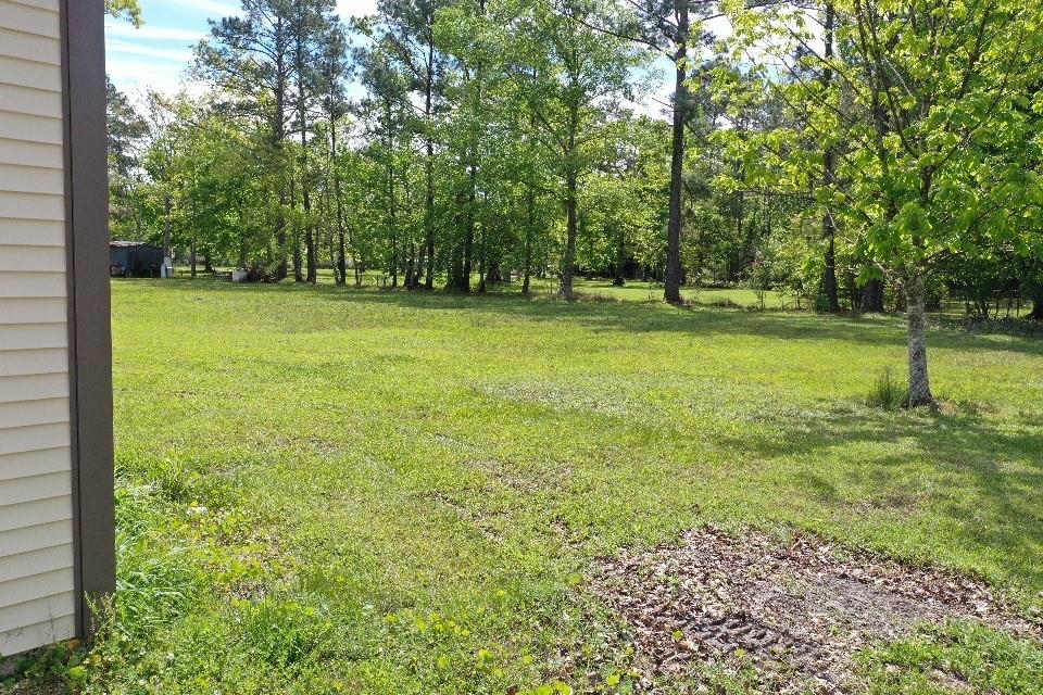 16515 Pine Lane Springfield, LA 70462 - Photo 37 of 39 Gallery Image 37