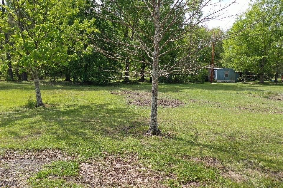 16515 Pine Lane Springfield, LA 70462 - Photo 38 of 39 Gallery Image 38