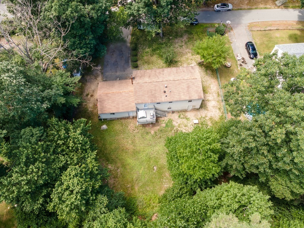 36 Kalmia Road Holbrook, MA 02343 - Photo 9 of 33