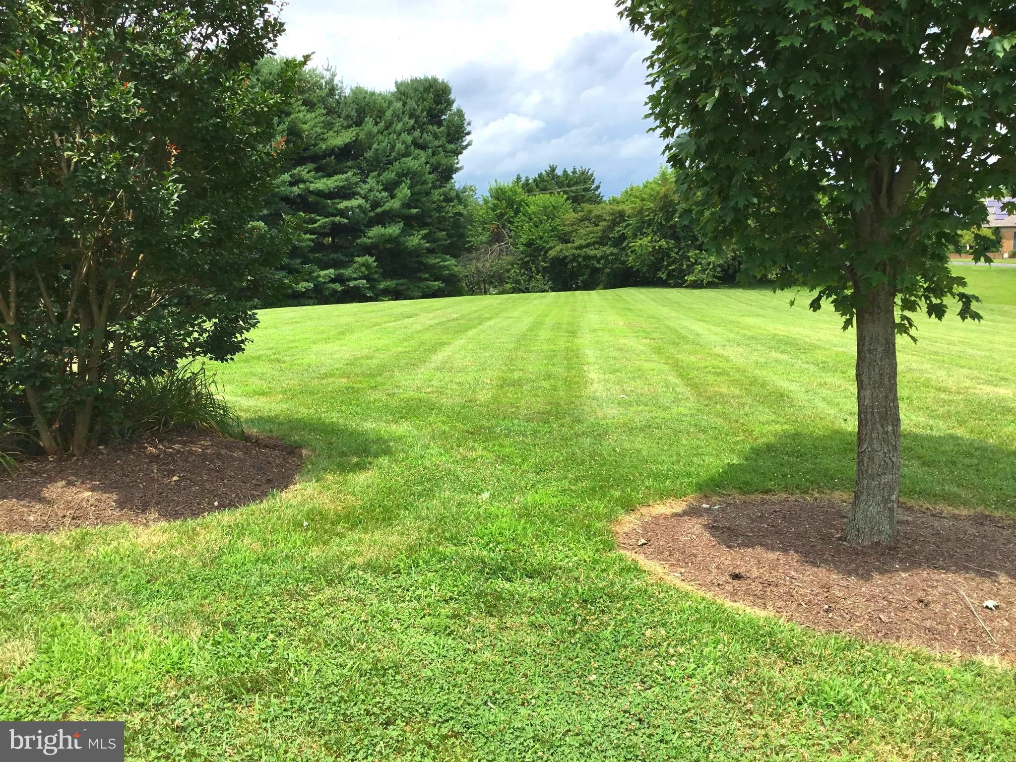 1019 Double Gate Road Davidsonville, MD 21035 - Photo 4 of 50 View of front lawn from driveway-Gorgeous land!