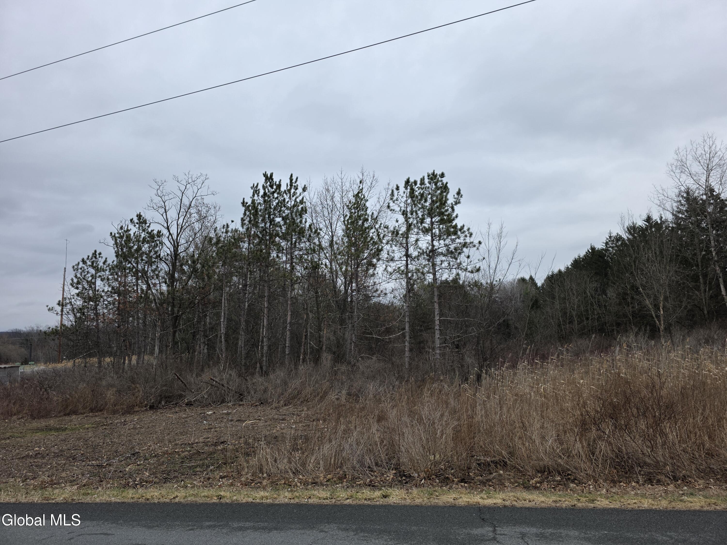 L27-1 Jensis Road Castleton-on-Hudson, NY 12033 - Photo 2 of 4 20260323_144726