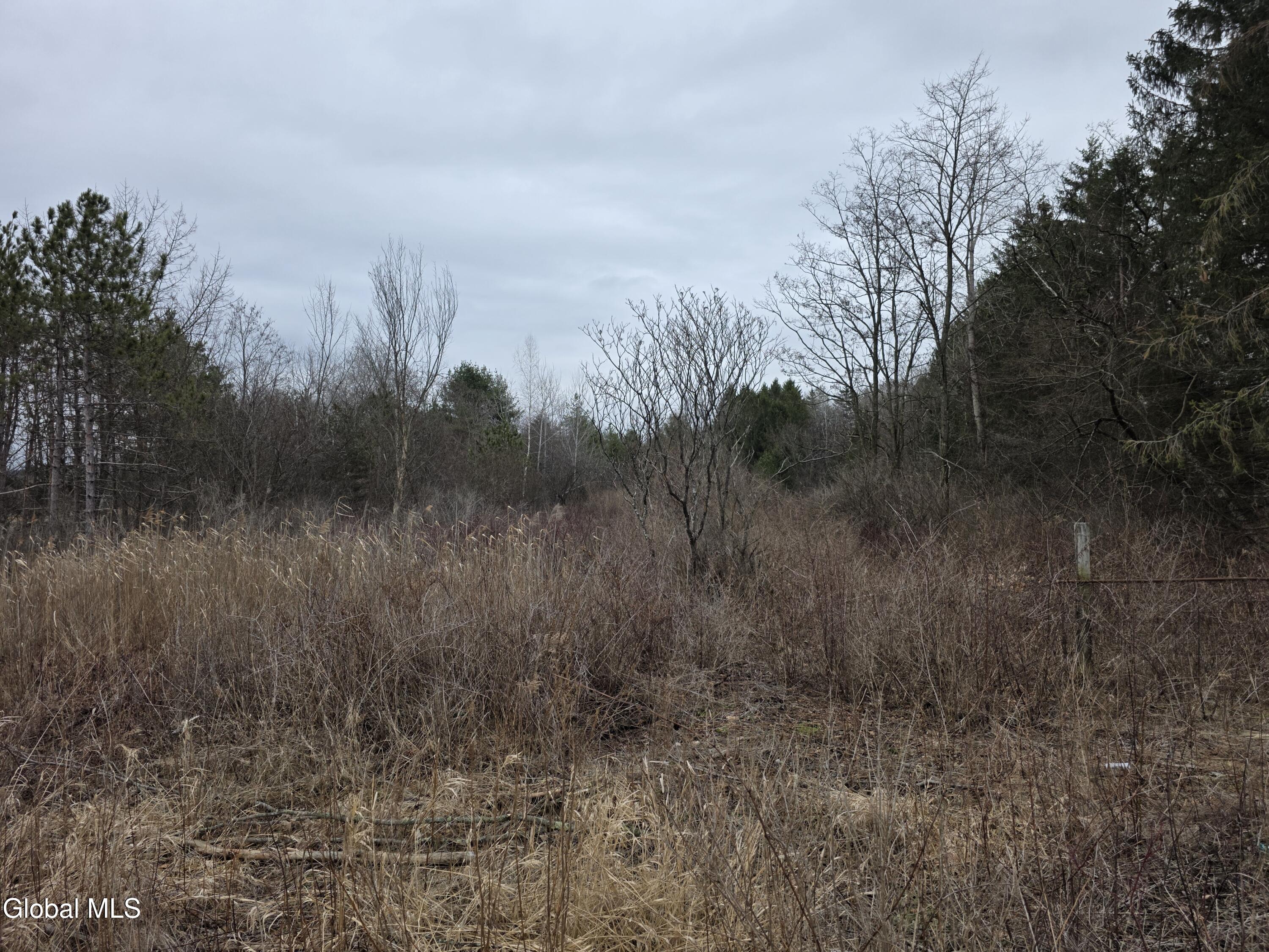 L27-1 Jensis Road Castleton-on-Hudson, NY 12033 - Photo 3 of 4 20260323_144655