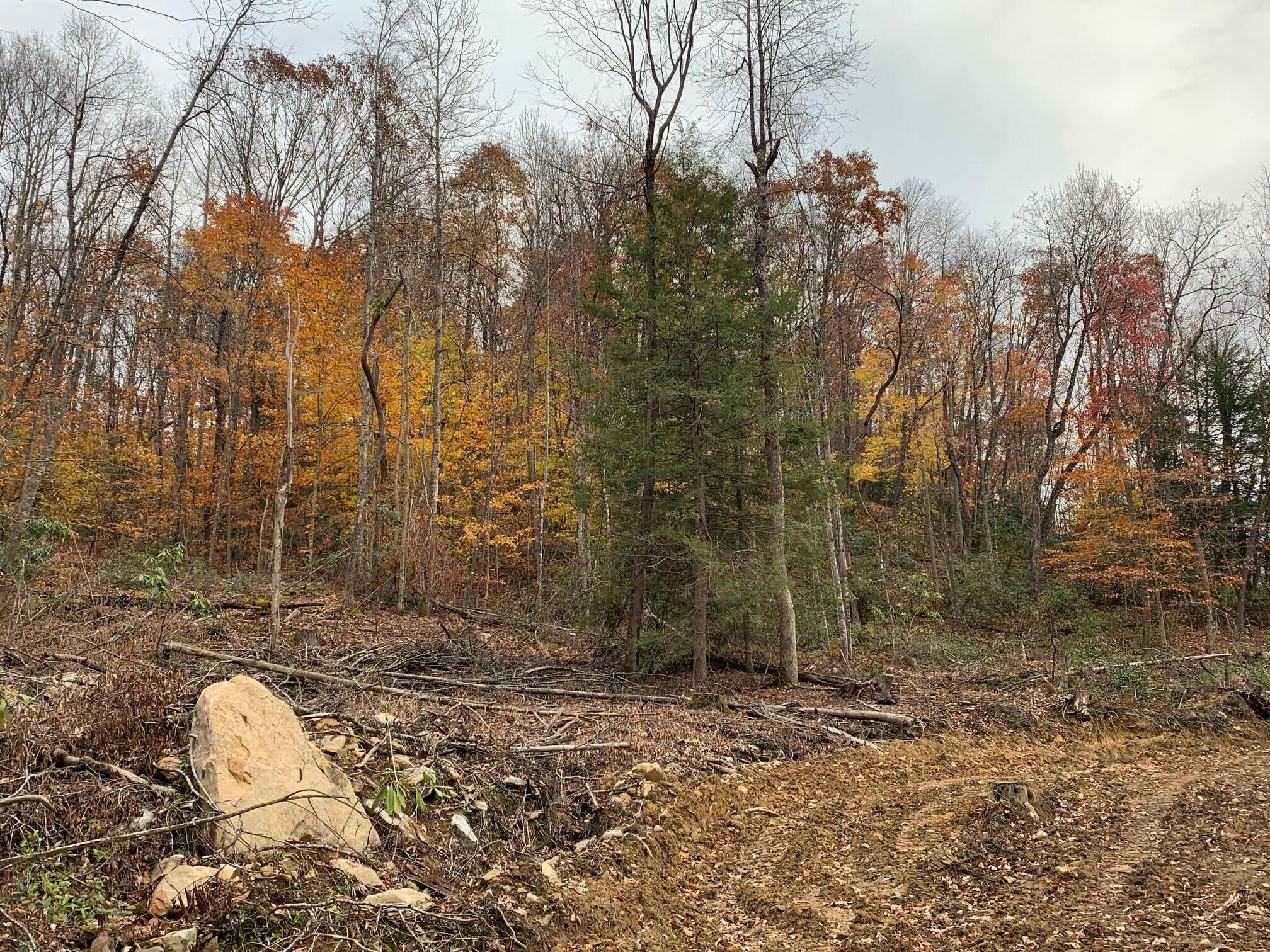 Ward Road Nettie, WV 26681 - Photo 20 of 35 Gallery Image 20