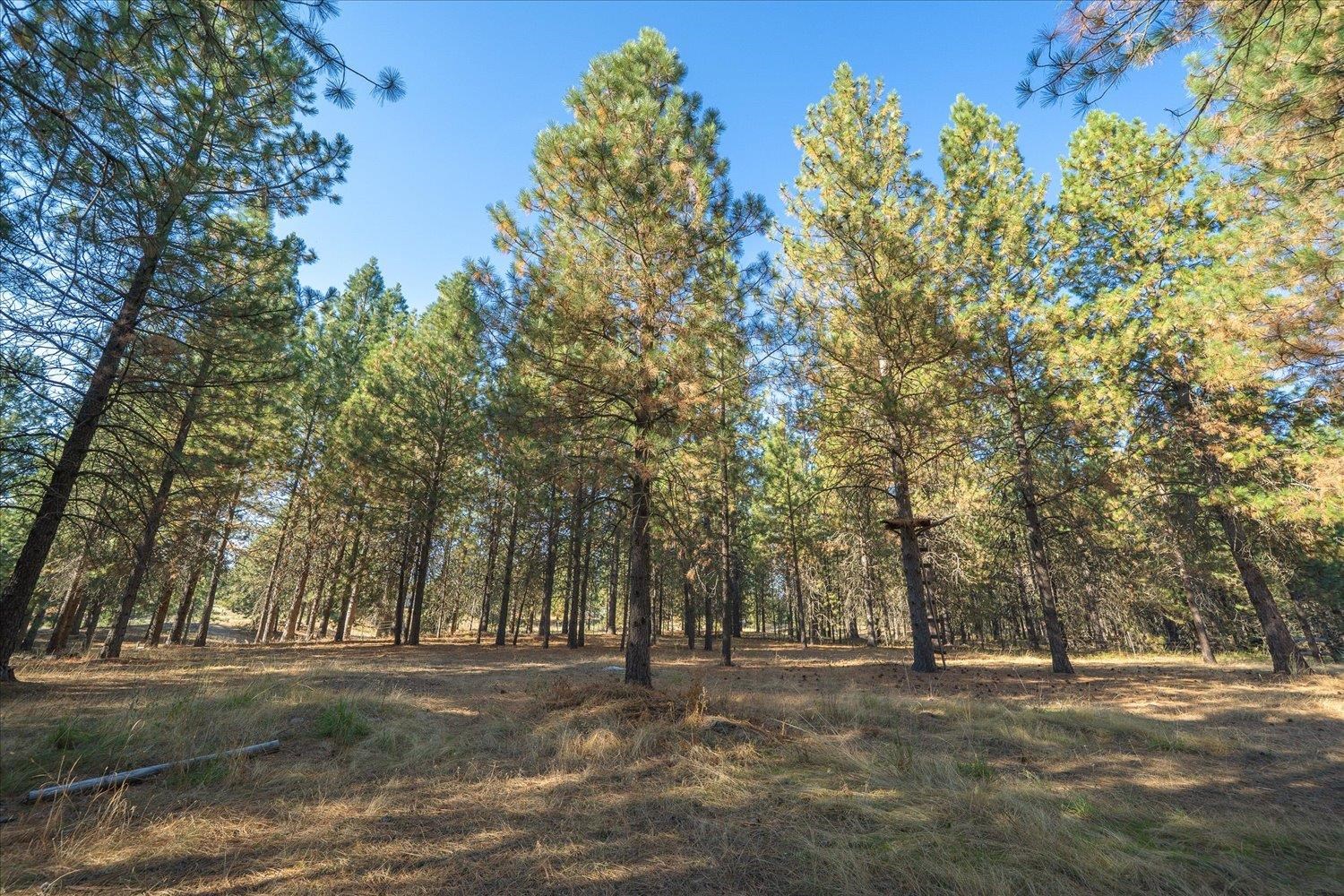 31515 North Cedar Road Deer Park, WA 99006 - Photo 45 of 50