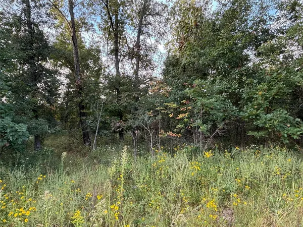 $64,900 | 18 Hays Lane, Perry, MO 63462