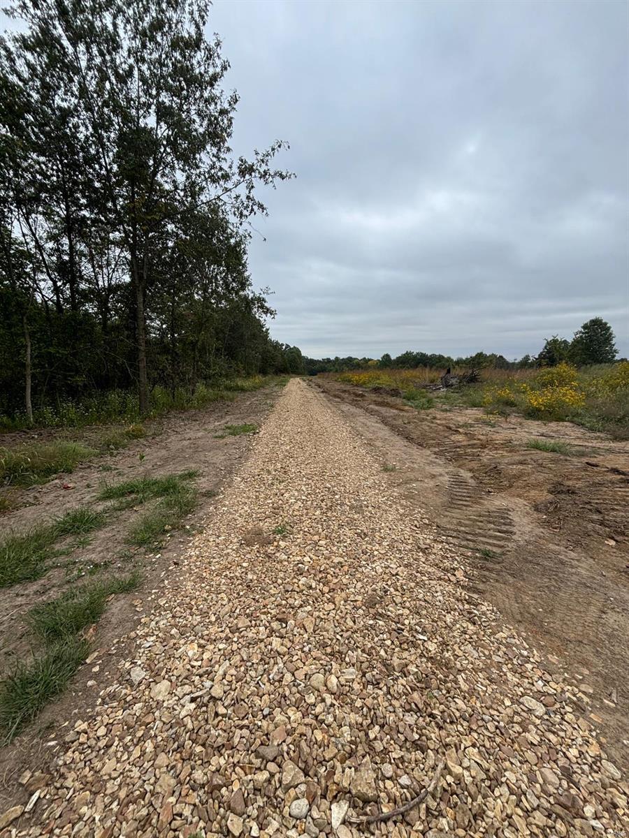 18 Hays Lane Perry, MO 63462 - Photo 4 of 9