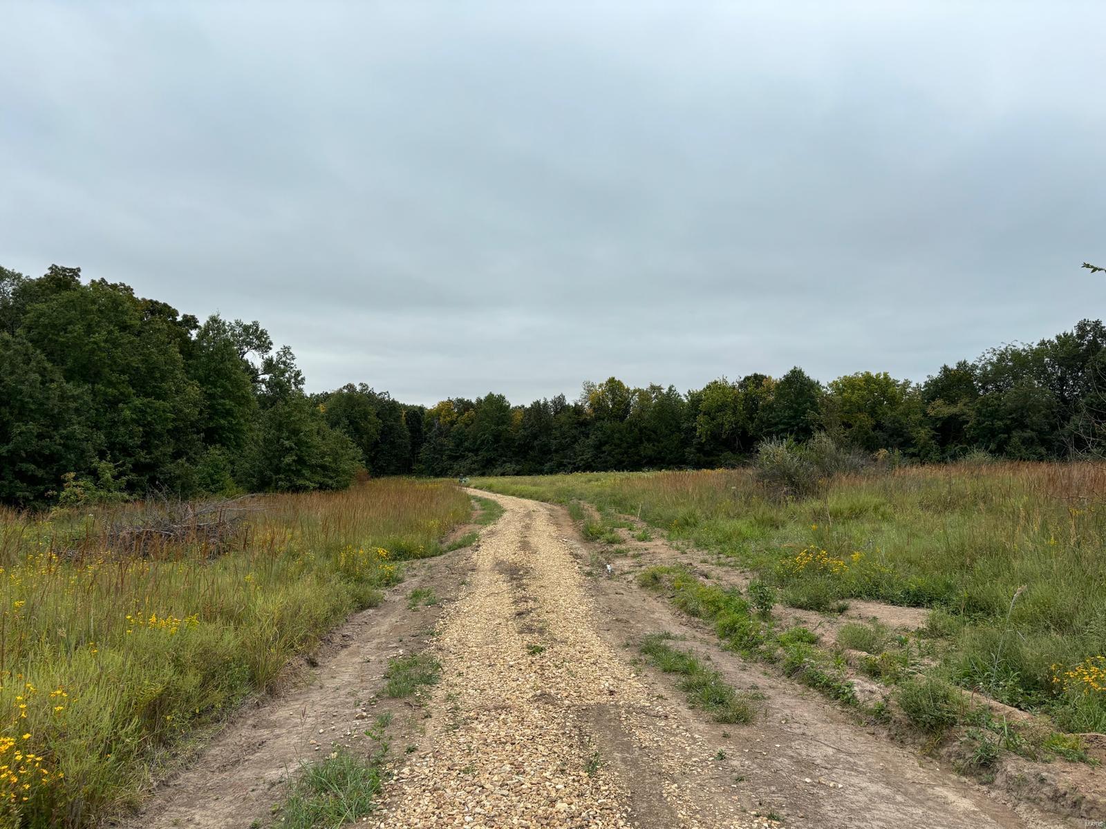 18 Hays Lane Perry, MO 63462 - Photo 9 of 9