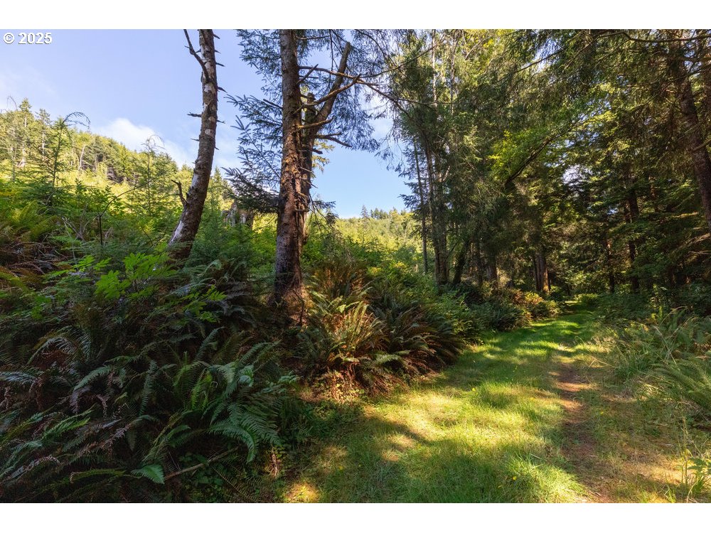 6600 Schoolhouse Road Neskowin, OR 97149 - Photo 17 of 33