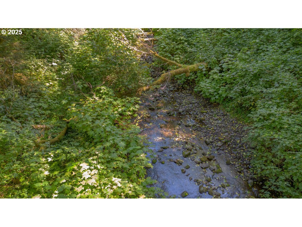 6600 Schoolhouse Road Neskowin, OR 97149 - Photo 18 of 33