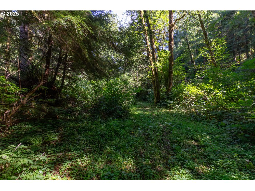 6600 Schoolhouse Road Neskowin, OR 97149 - Photo 19 of 33