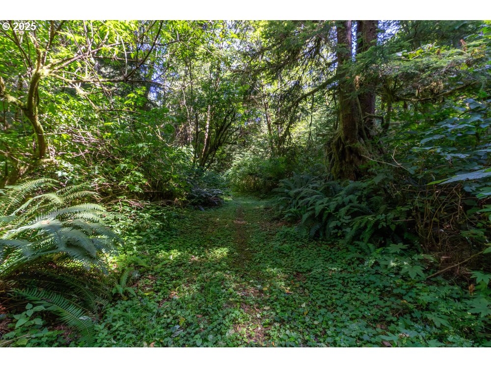 6600 Schoolhouse Road Neskowin, OR 97149 - Photo 20 of 33