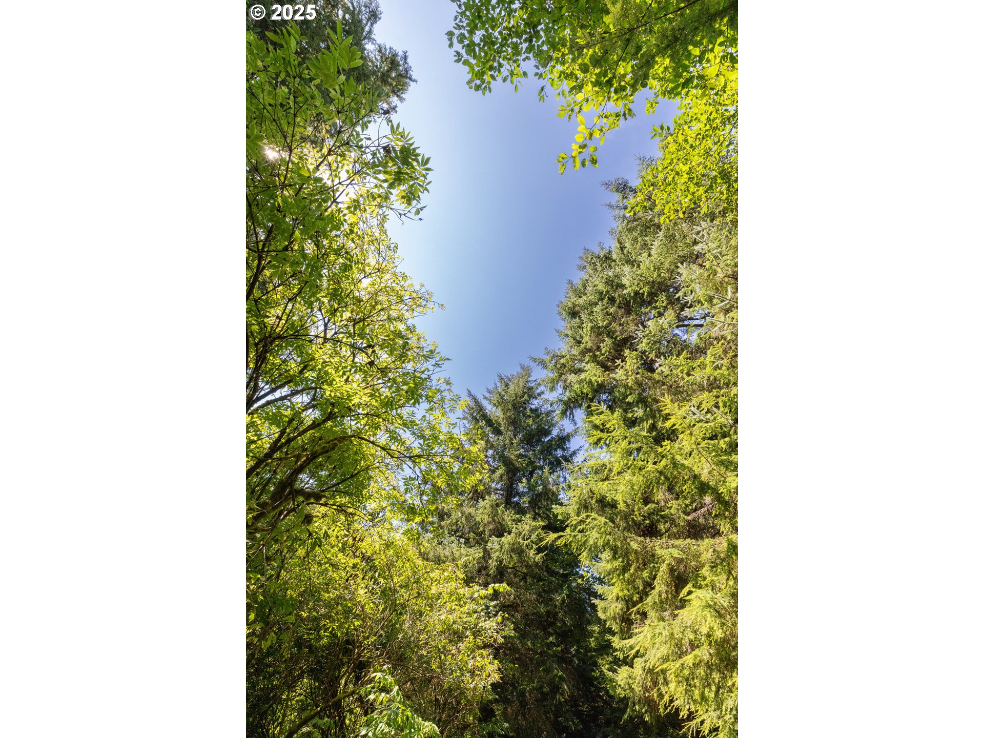 6600 Schoolhouse Road Neskowin, OR 97149 - Photo 22 of 33