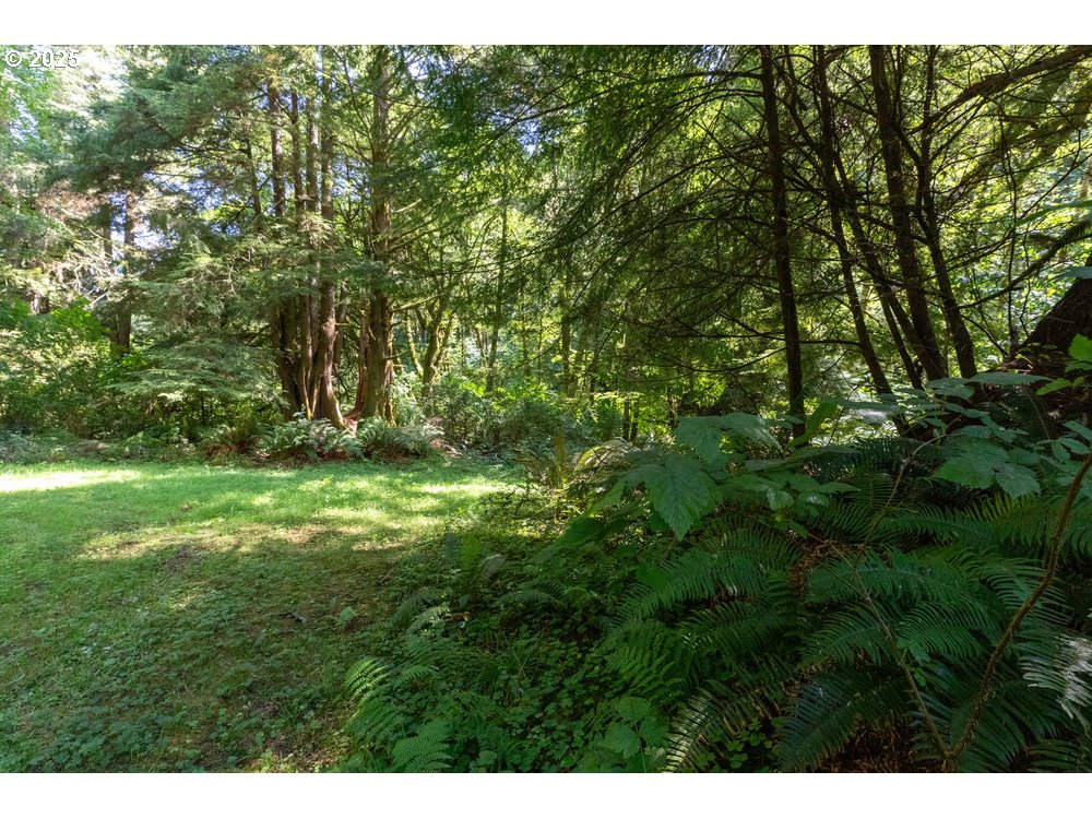 6600 Schoolhouse Road Neskowin, OR 97149 - Photo 23 of 33