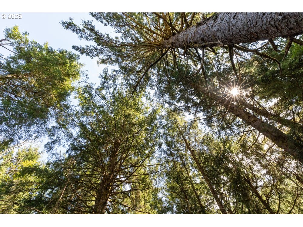 6600 Schoolhouse Road Neskowin, OR 97149 - Photo 24 of 33
