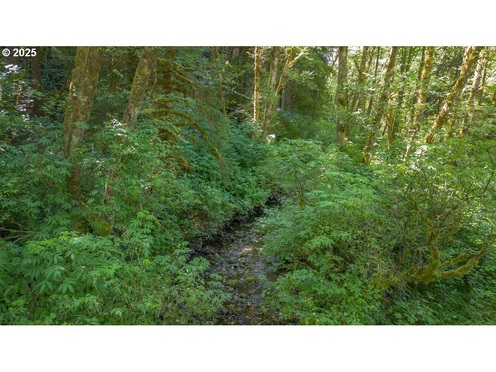 6600 Schoolhouse Road Neskowin, OR 97149 - Photo 25 of 33