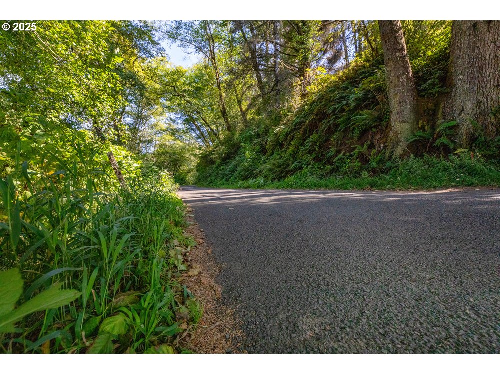 6600 Schoolhouse Road Neskowin, OR 97149 - Photo 26 of 33