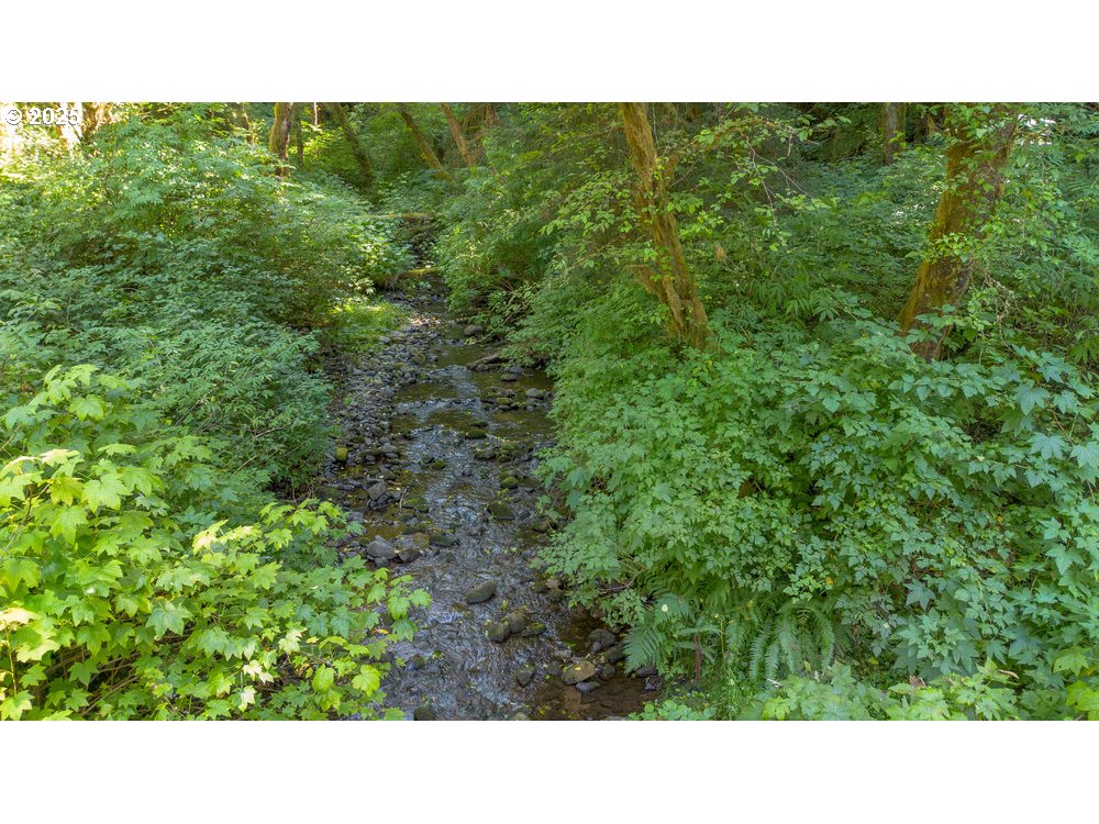 6600 Schoolhouse Road Neskowin, OR 97149 - Photo 29 of 33