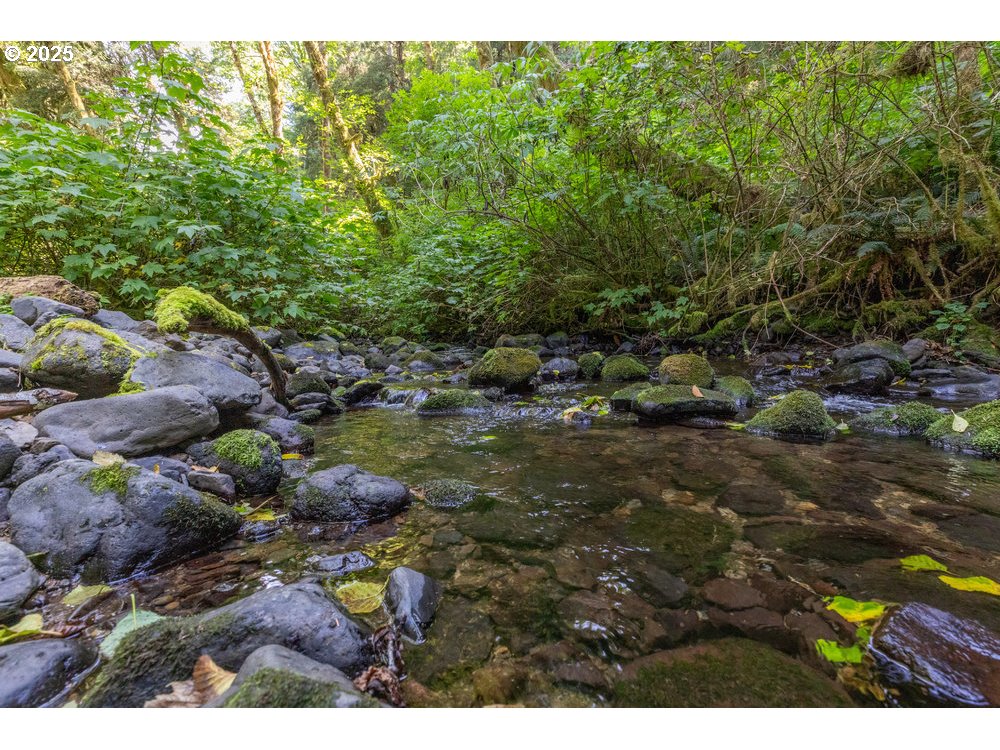 6600 Schoolhouse Road Neskowin, OR 97149 - Photo 8 of 33